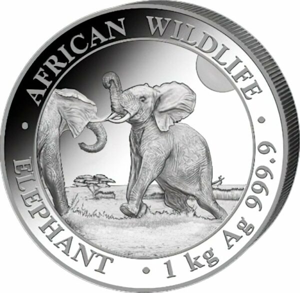 1 kg Silber Somalia Elefant 2024