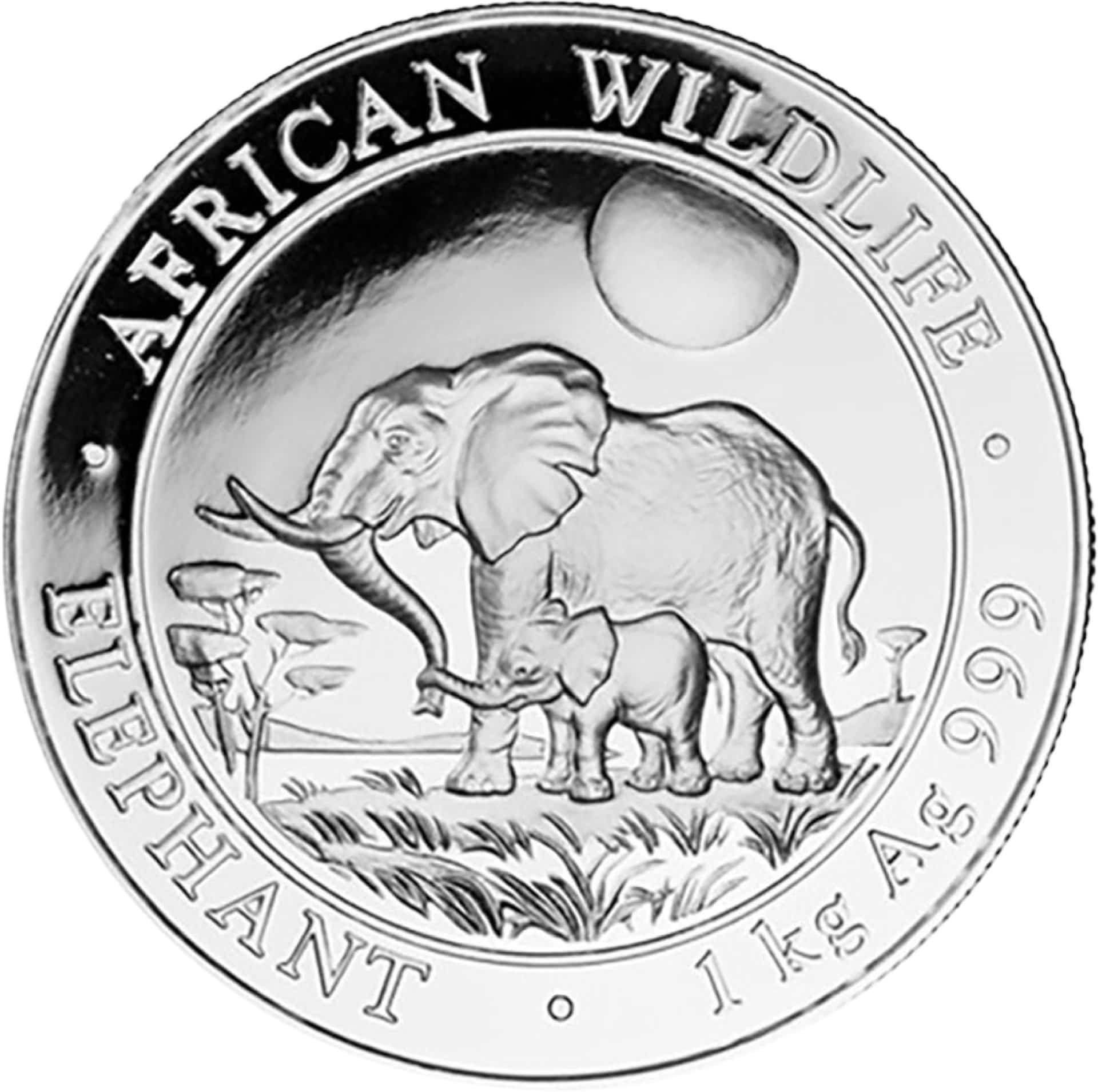 1 kg Silber Somalia Elefant 2011