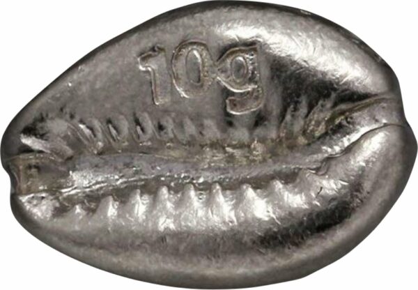 10g Silber Cowrie Muschelbarren